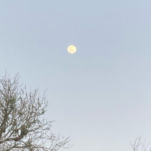 Meet your Posher, Monica